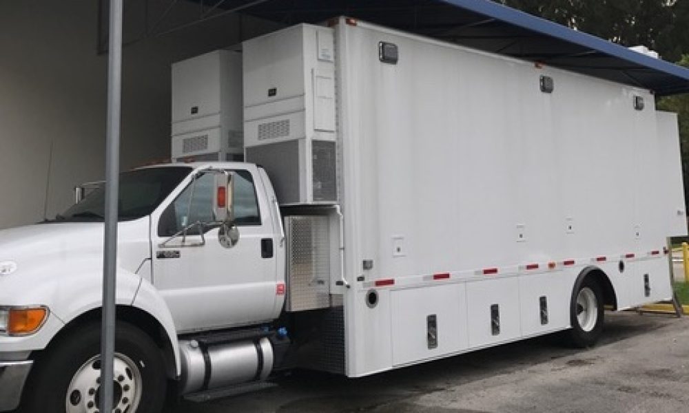 Blue Dolphin Studios