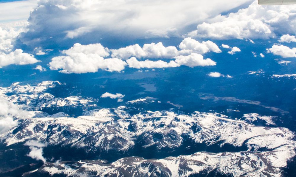 Blue Panda Photography