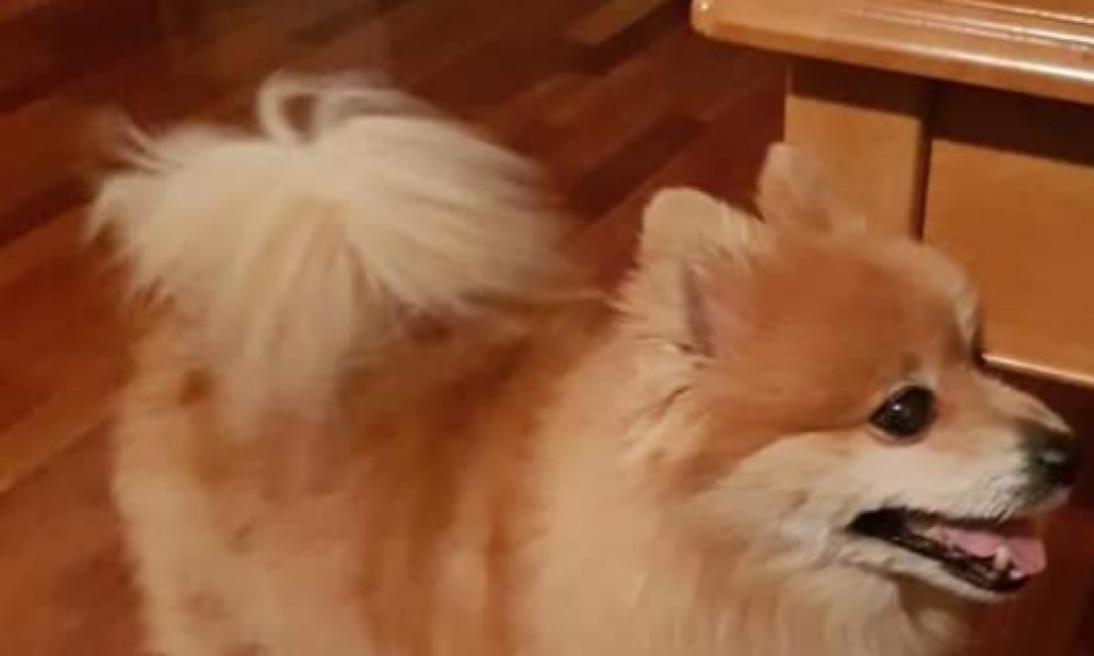 Cherokee Billie Spiritual Advisor