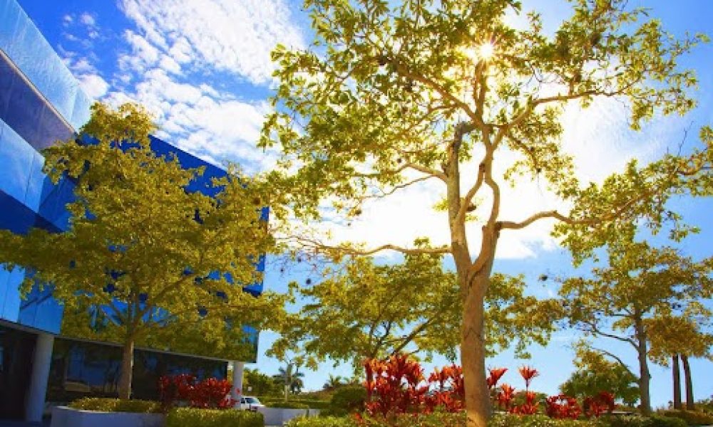 Commercial Photo and Video Studio