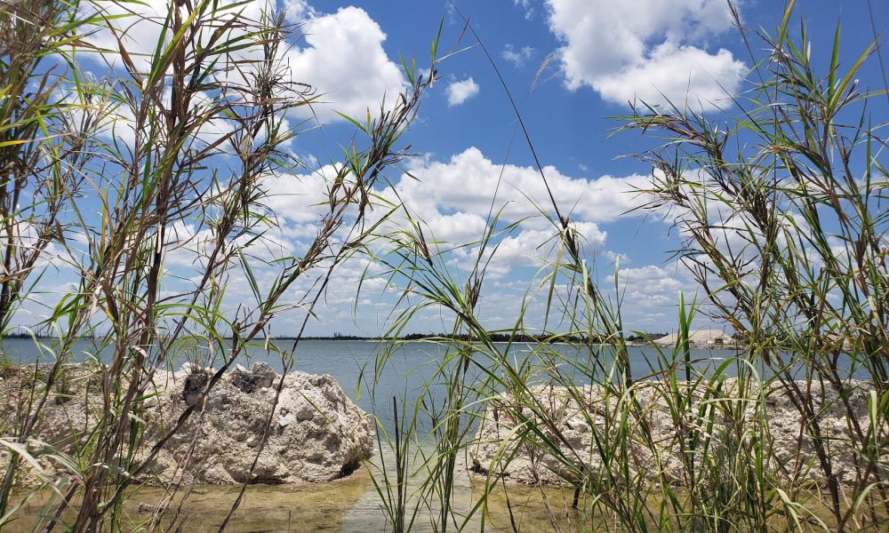 Concrete Structures Inc