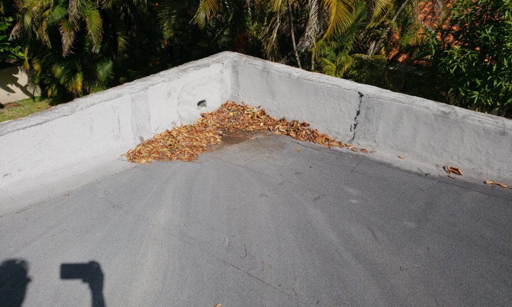 D'Angelo Property Inspections