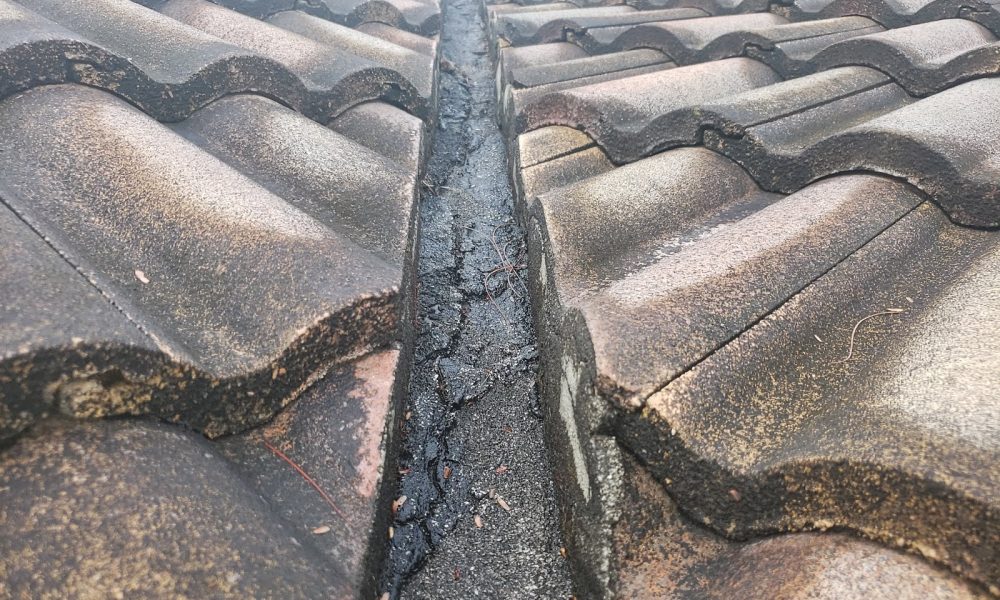 D'Angelo Property Inspections