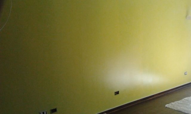 Doc House Painter Doral