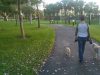 Dog Walker Doral