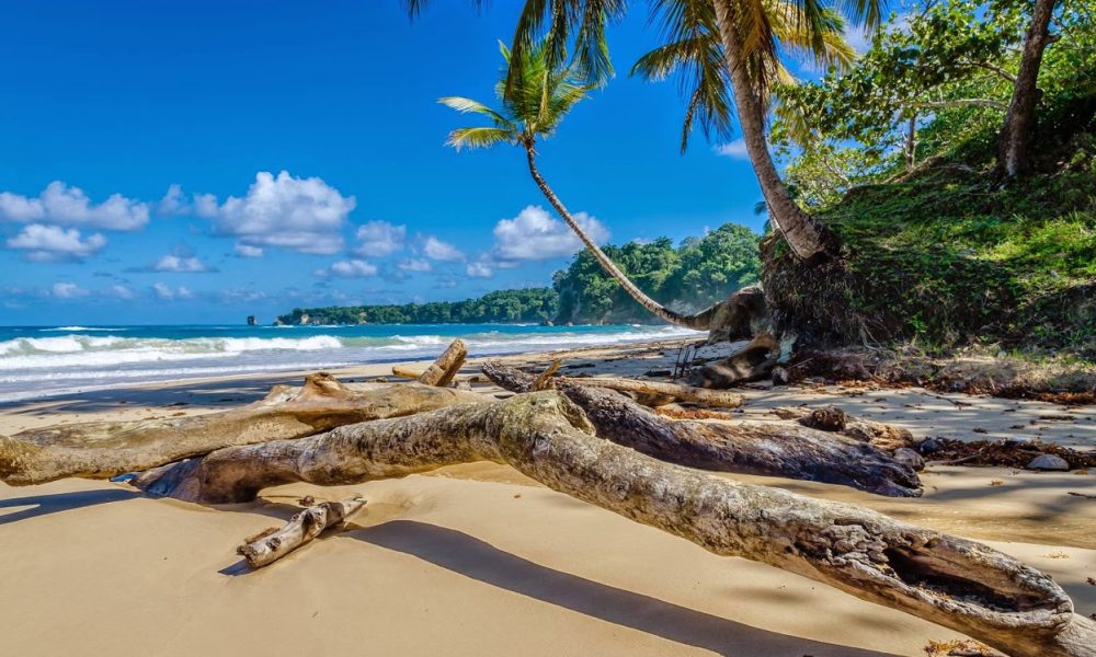 Dominican Republic Luxury Homes