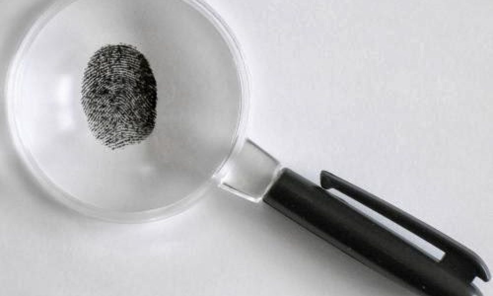 Doral Investigations