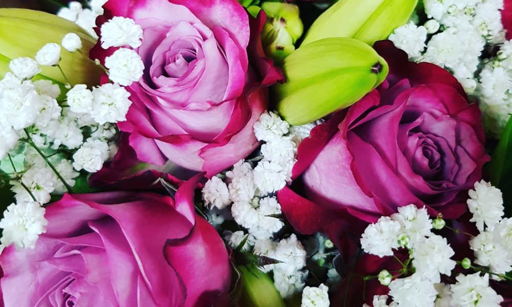 Exotic Flowers of Miami