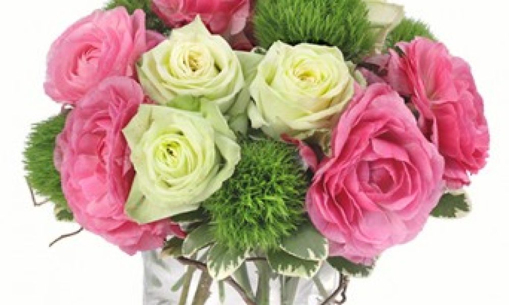 Exotic Flowers of Miami