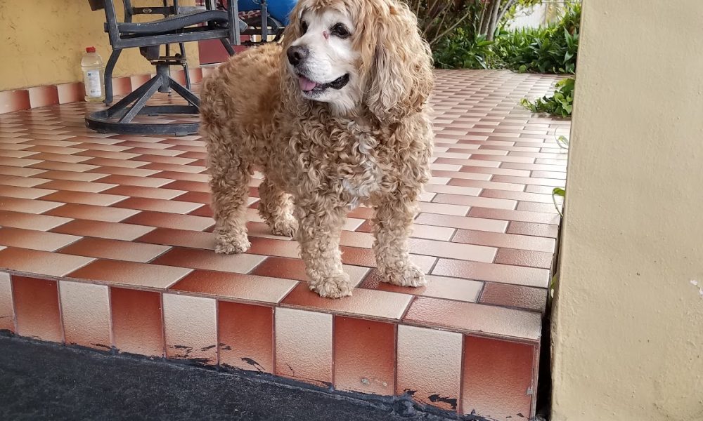 FedEx Office Print & Ship Center