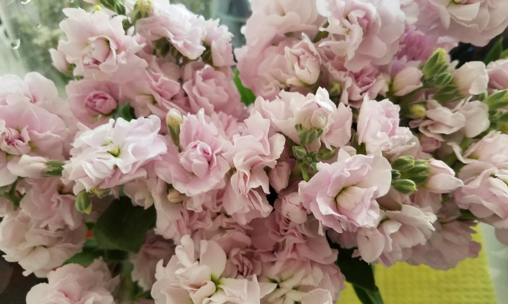 Jet Fresh Flower Distributors Inc.