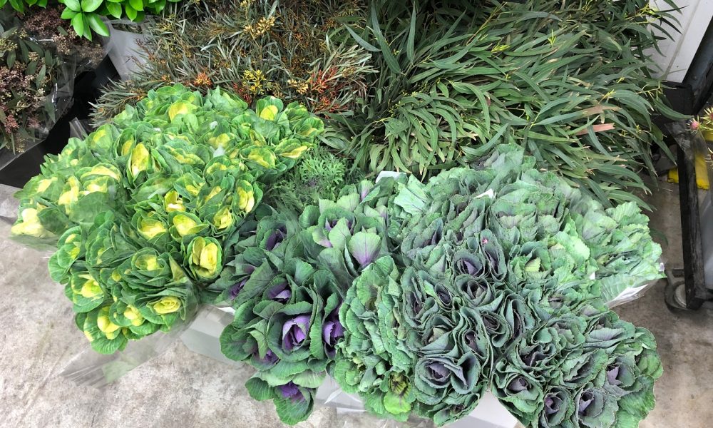 Jet Fresh Flower Distributors Inc.