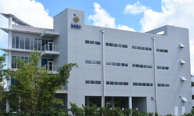 Lingua Language Center Doral