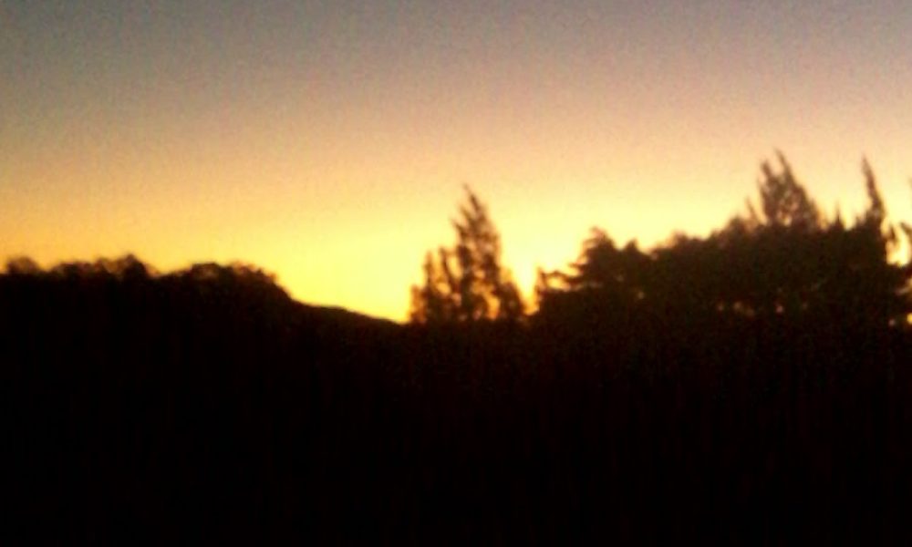 Mater Performing Arts & Entertainment Academy