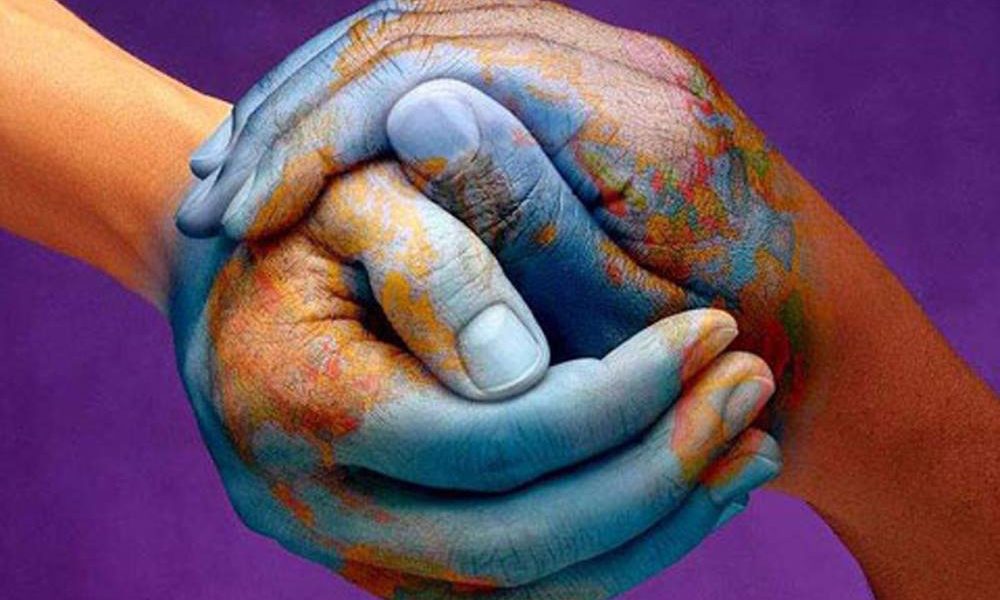 Media Force Global Brands