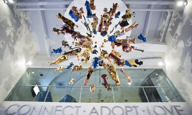 Miami-Dade Animal Services Pet Adoption & Protection Center