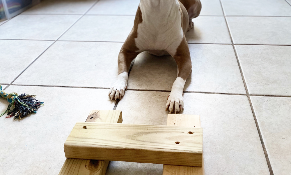 Miami Freerunning Academy - Doral