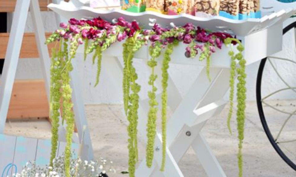 Polinario’s Party Rentals