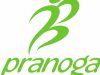 Pranoga Yoga Studio