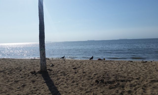 Ricky Fishing Tackle Inc