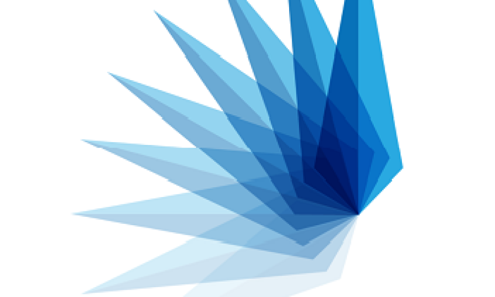 SRS Energy Solutions