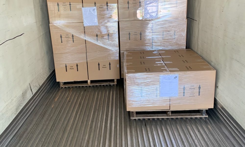 Smart Talk Transport