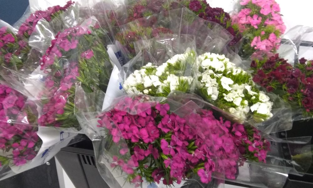 South Florals Weddings and Events