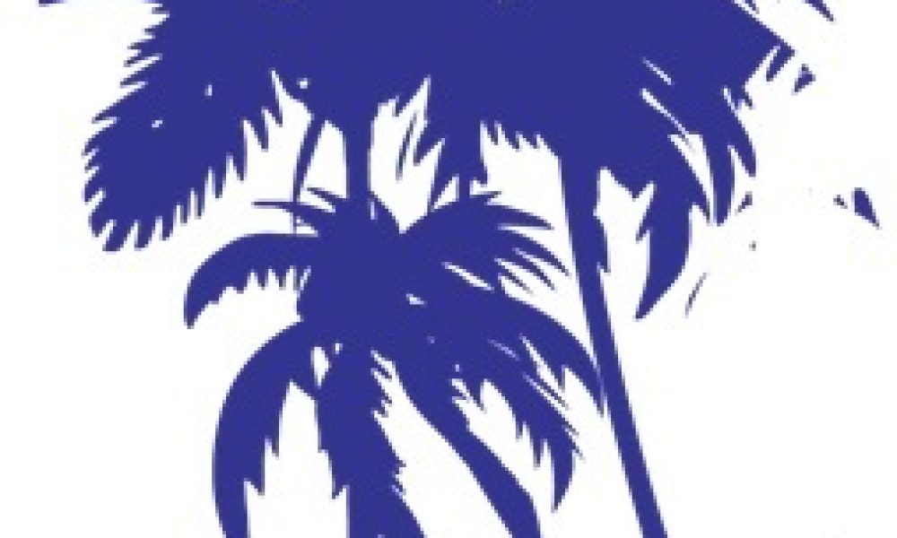 South Florida Express Bankserv, Inc.