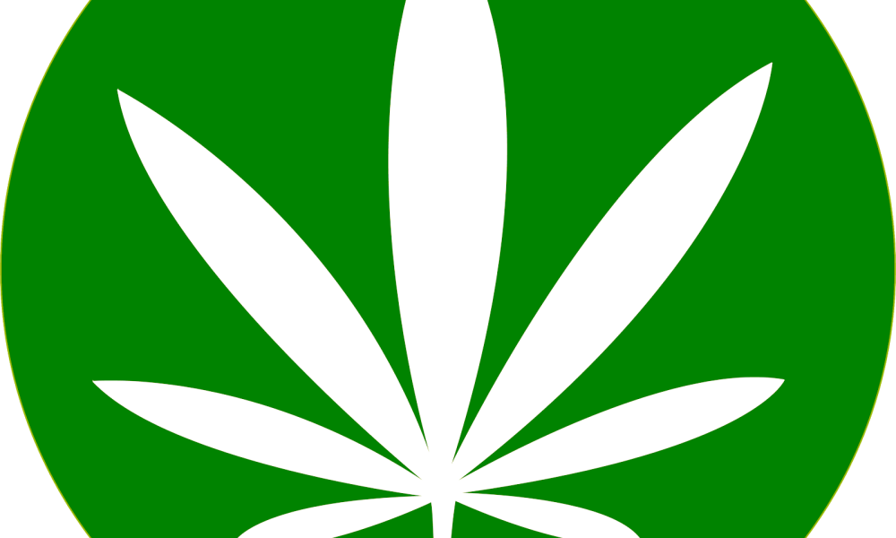 South Florida Marijuana Center