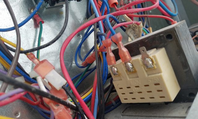 Starboard Cruise Services