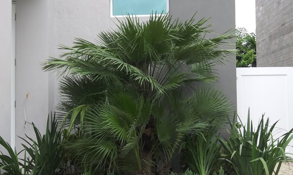 The Mansions at Doral