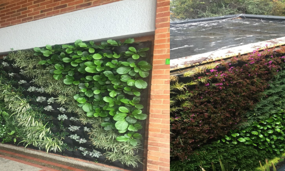 VIVO LANSDSCAPE DESIGN ON THE GO