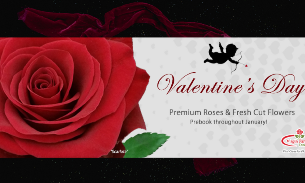 Virgin Farms Direct, Inc.