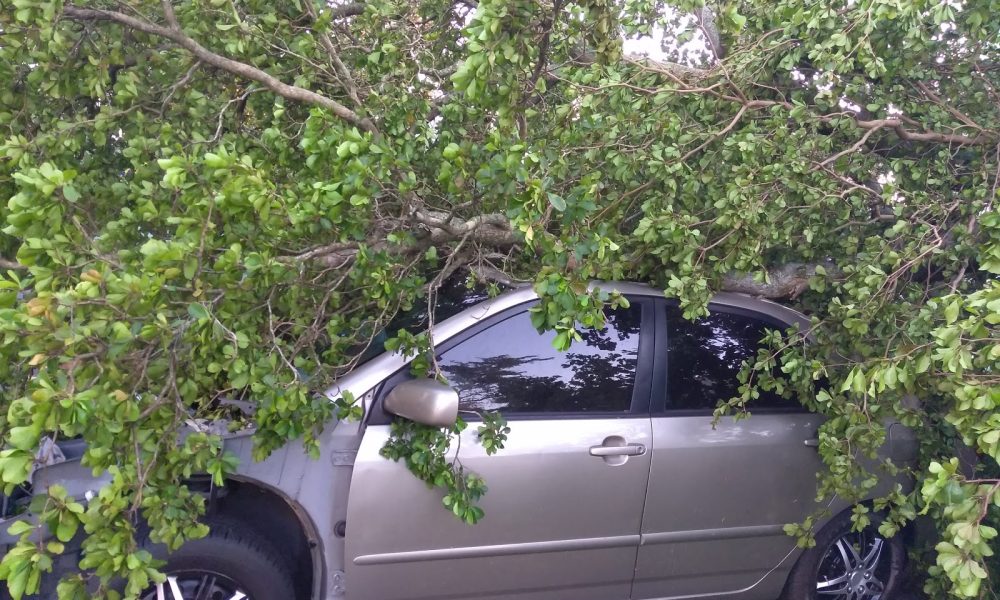 Willy's Paint & Body Shop Of Miami Inc.