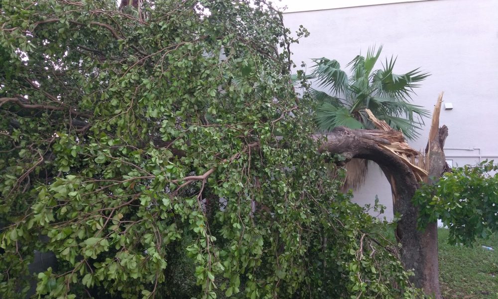 Willy's Paint & Body Shop Of Miami Inc.