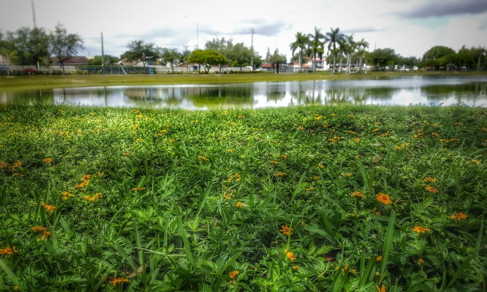 Women's Park History Gallery