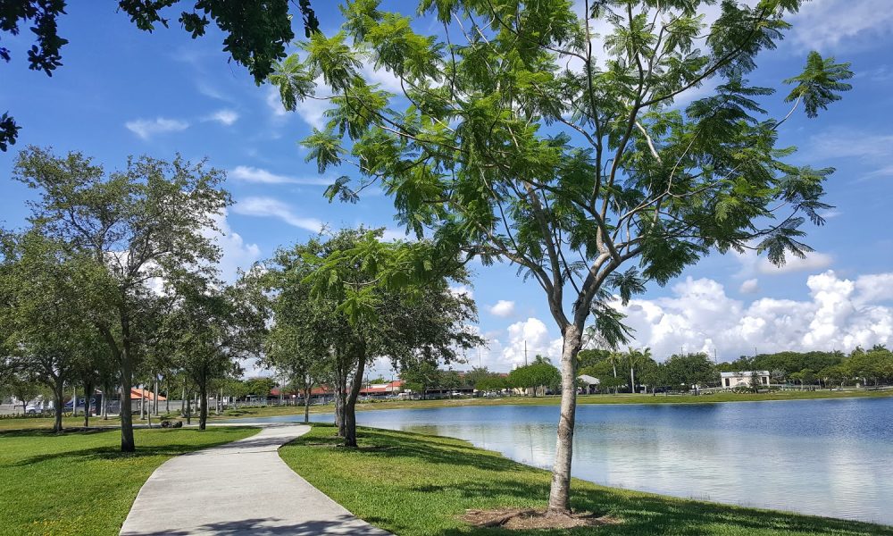 Women's Park History Gallery