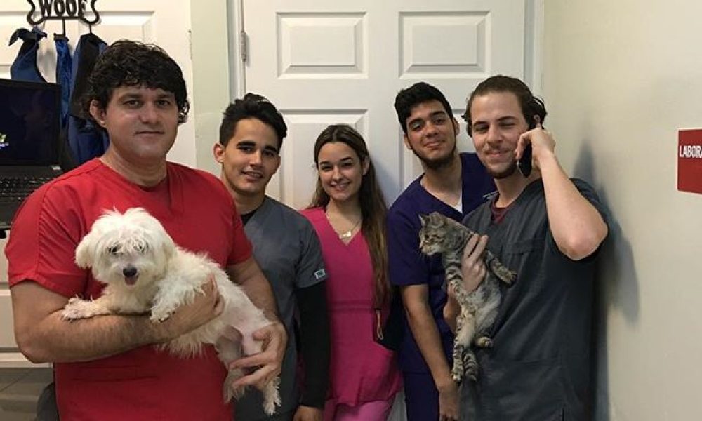 After Hours Vet To Pet