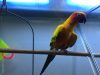 Animal Palace Pet Center