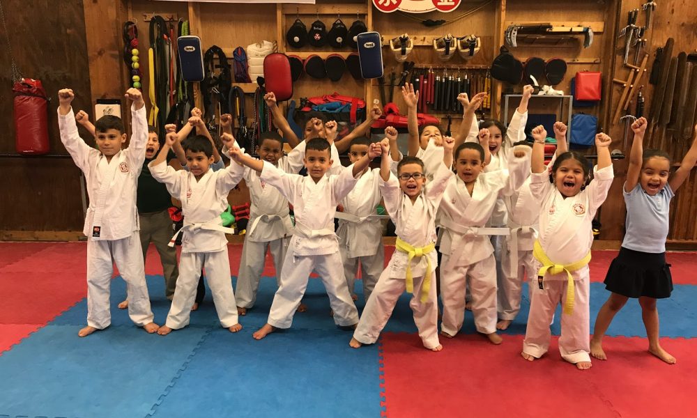 Art &amp; Sports Center Shorin Ryu Karate-Do