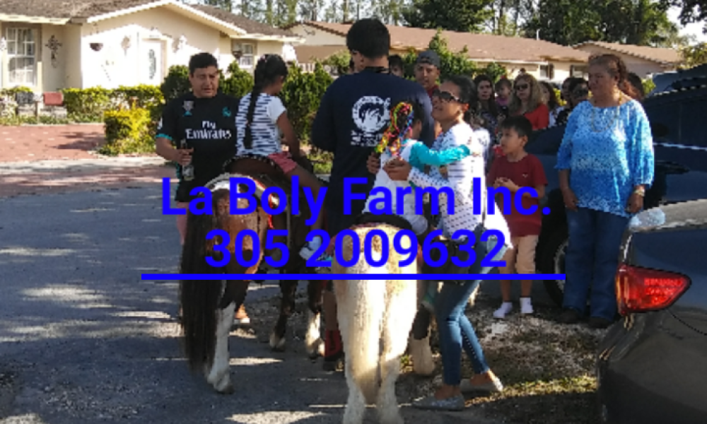 Big Star Daycare Inc