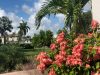 Calvary Chapel Miami