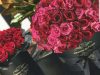 Charme de Fleurs