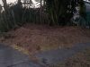 Discount Tree Services Inc