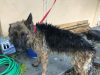 Doral Animal Medical Center