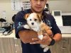 Doral Animal Medical Center