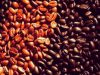 Euforia Specialty Coffee