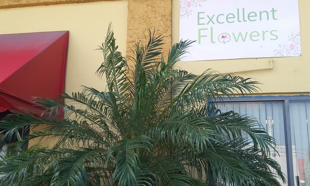 Excellent Florists