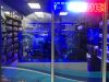 Frank Aquariums