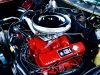 Freddy's Auto Inc
